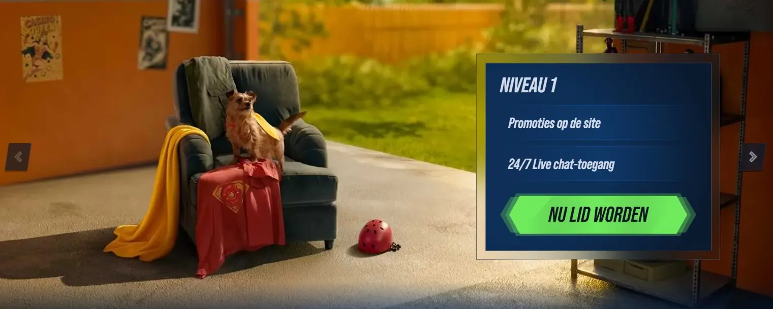 Loyaliteits programma